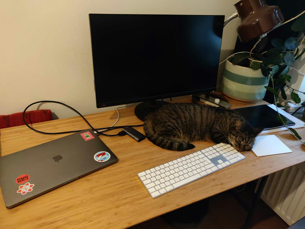 Arbetsstation med en bärbar dator, en extern bildskärm, ett tangentbord och en mus. En katt ligger och vilar på tangentbordet. En bordslampa och en krukväxt står på skrivbordet. Arbetsstation med en bärbar dator, en extern bildskärm, ett tangentbord och en mus. En katt ligger och vilar på tangentbordet. En bordslampa och en krukväxt står på skrivbordet.