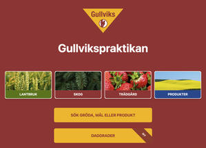 Skärmbild av startsidan på gullvikspraktikans hemsida Skärmbild av startsidan på gullvikspraktikans hemsida