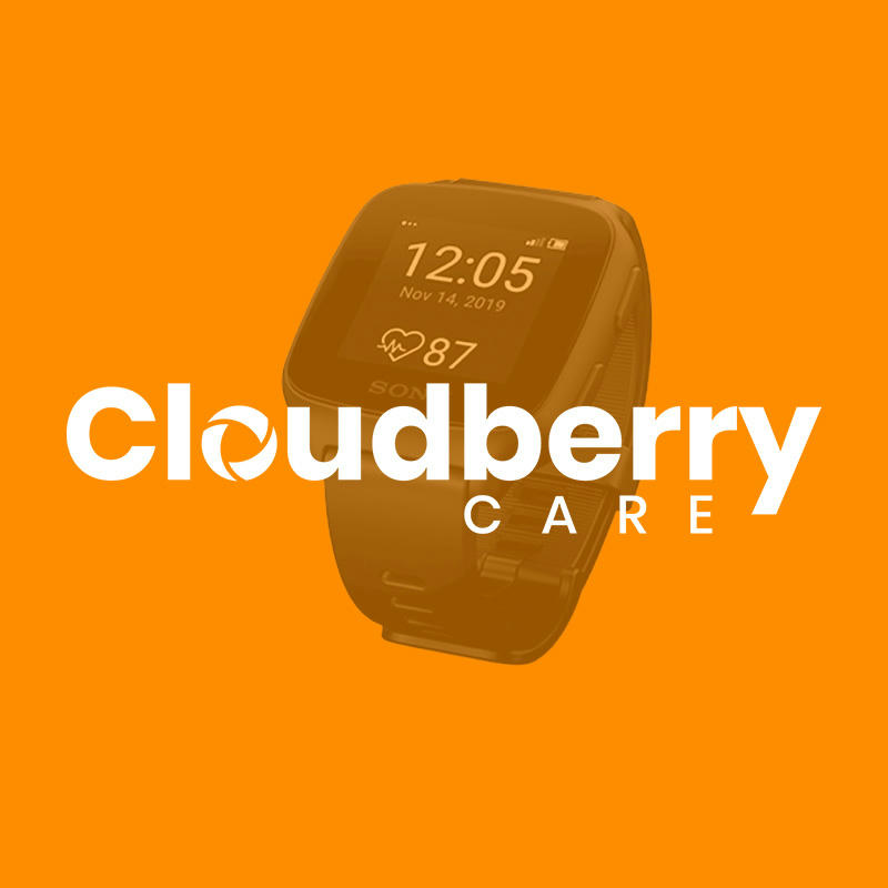 Cloudberry klocka med orange bakgrund Cloudberry klocka med orange bakgrund